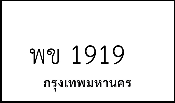 พข 1919
